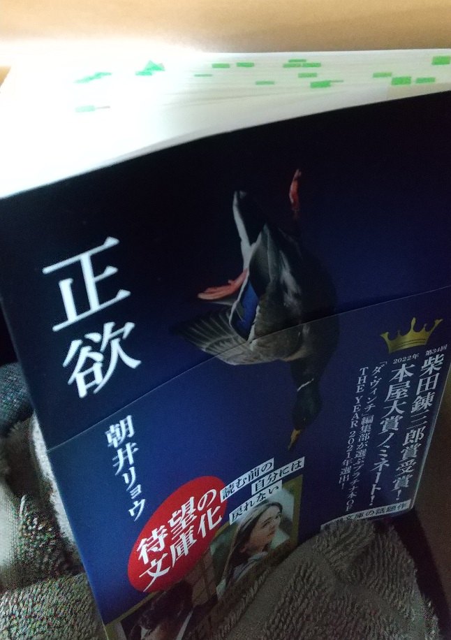 朝井リョウ『正欲』の感想　はたしてつまらない小説なのか？