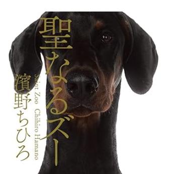 『聖なるズー』　濱野ちひろ　動物性愛者とは？